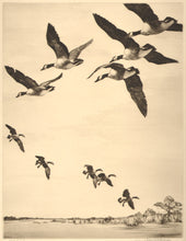 Load image into Gallery viewer, Bishop, Richard Evett  “Circling In.&quot; [Canada Geese]
