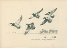 Load image into Gallery viewer, Bishop, Richard Evett  “Merry Christmas from Helen and Dick Bishop.&quot; [Five Mallards]
