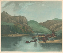 Load image into Gallery viewer, Bodmer, Karl.  “Herds of Bisons and Elks on the Upper Missouri.”
