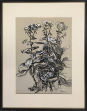 Load image into Gallery viewer, Waldman [Botanical Drawing in Charcoal &amp; White Chalk]
