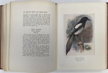 Load image into Gallery viewer, Thomson, Arthur Landsborough. &quot;Britain&#39;s Birds and Their Nests&quot;
