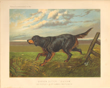 Load image into Gallery viewer, Shaw, Vero  “Gordon Setter ‘Blossom.’ The Property of Mr. Howard Mapplebeck.”
