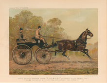 Load image into Gallery viewer, “Single Harness Phaeton Horse ‘Columbine’ Property of Chs. Baynes Esqre.  1st Prize for Action &amp; Pace at the Agricultural Hall Horse Show 1872.”  From &quot;Cassell’s The Illustrated Book of the Horse&quot;
