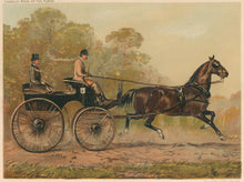 Load image into Gallery viewer, “Single Harness Phaeton Horse ‘Columbine’ Property of Chs. Baynes Esqre.  1st Prize for Action &amp; Pace at the Agricultural Hall Horse Show 1872.”  From &quot;Cassell’s The Illustrated Book of the Horse&quot;
