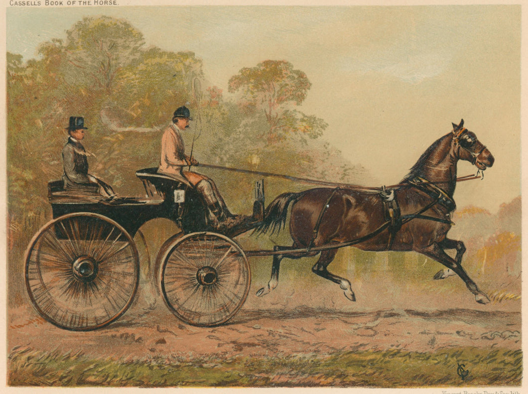 “Single Harness Phaeton Horse ‘Columbine’ Property of Chs. Baynes Esqre.  1st Prize for Action & Pace at the Agricultural Hall Horse Show 1872.”  From 