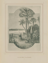 Load image into Gallery viewer, Cronau, Rudolf   &quot;An der Kuste von Florida.&quot; [On the Coast of Florida]
