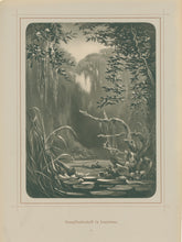 Load image into Gallery viewer, Cronau, Rudolf   &quot;Sumpflandschaft in Louisiana.&quot; [Swampland in Louisiana]
