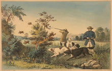 Load image into Gallery viewer, Palmer, Fanny  &quot;Quail Shooting. Setters The Property of S. Palmer Esq. Brooklyn L.I.&quot;
