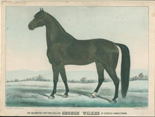 Load image into Gallery viewer, Cameron, James &quot;The Celebrated Trotting Stallion George Wilkes by Rysdyk&#39;s Hambletonian.&quot;
