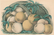 Load image into Gallery viewer, Currier &amp; Ives &quot;Luscious Peaches.&quot;

