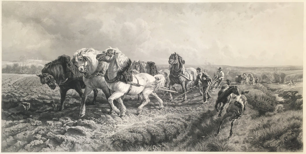 Davis, Henry William Banks [Teams at the ploughs]