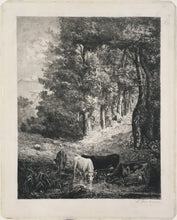 Load image into Gallery viewer, Desbrosses, Leopold [Cattle in the Woods]
