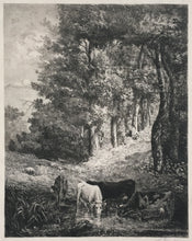 Load image into Gallery viewer, Desbrosses, Leopold [Cattle in the Woods]
