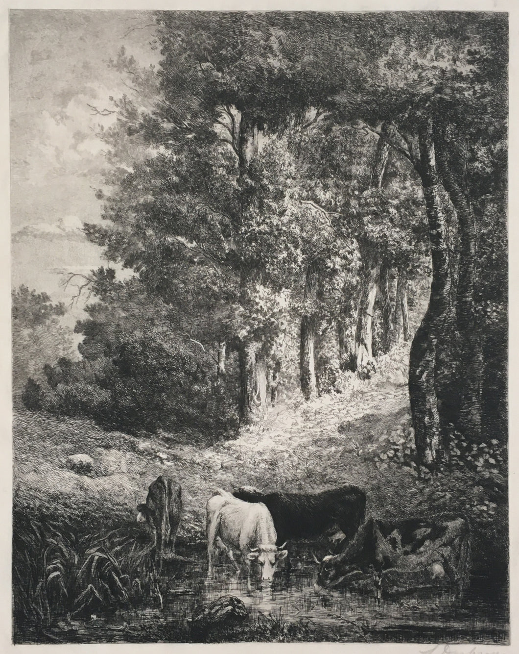 Desbrosses, Leopold [Cattle in the Woods]