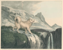 Load image into Gallery viewer, Doughty, Thomas  “Esquimaux Dog.
