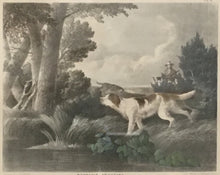 Load image into Gallery viewer, Doughty, Thomas “Woodcock Shooting.”
