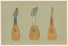 Load image into Gallery viewer, Gibb, William &quot;Pandurina &amp; two Milanese Mandolines.&quot; Pl. 30  From &quot;A. J. Hipkins’ Musical Instruments Historic, Rare, and Unique&quot;
