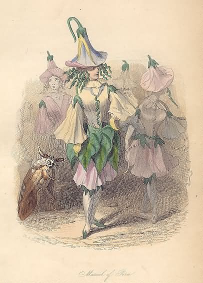 J. J. Grandville newest Belle-de-Nuit Litho