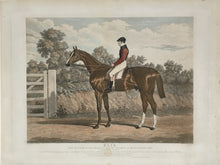 Load image into Gallery viewer, Herring, John Frederick  “Elis.  The Winner of the Great St. Leger Stakes at Doncaster, 1836…&quot; 
