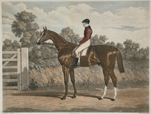 Load image into Gallery viewer, Herring, John Frederick  “Elis.  The Winner of the Great St. Leger Stakes at Doncaster, 1836…&quot; 
