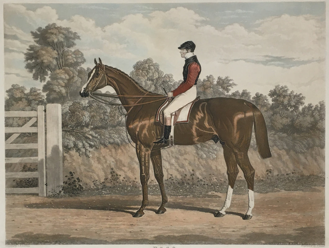 Herring, John Frederick  “Elis.  The Winner of the Great St. Leger Stakes at Doncaster, 1836…