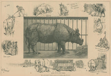 Load image into Gallery viewer, Church, F.S.  &quot;The Rhinoceros Bombe&quot; [Central Park Zoo]

