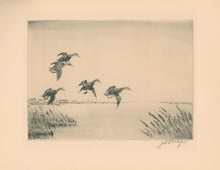 Load image into Gallery viewer, Knap, Joseph Day  &quot;Black Ducks&quot;
