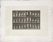 Load image into Gallery viewer, Muybridge, Eadweard “Getting on and off table, #7” Pl. 513

