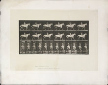 Load image into Gallery viewer, Muybridge, Eadweard “Walking, bareback” pl. 581
