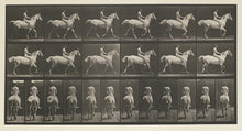 Load image into Gallery viewer, Muybridge, Eadweard “Trotting, bareback, rider #43, Smith”
