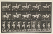 Load image into Gallery viewer, Muybridge, Eadweard “Trotting, saddle, rider #43, Smith”
