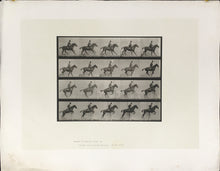 Load image into Gallery viewer, Muybridge, Eadweard “Jumping a Hurdle, Saddle, Daisy”
