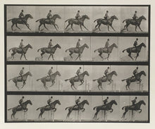 Load image into Gallery viewer, Muybridge, Eadweard “Jumping a Hurdle, Saddle, Daisy”
