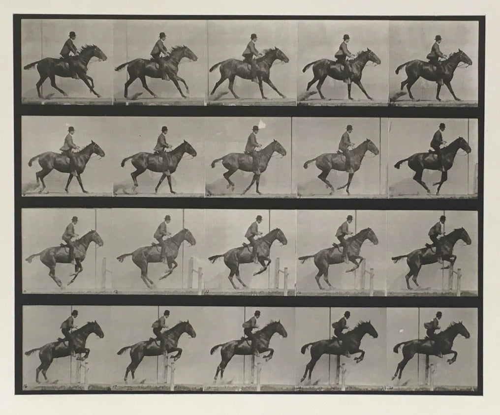 Muybridge, Eadweard “Jumping a Hurdle, Saddle, Daisy”