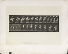 Load image into Gallery viewer, Muybridge, Eadweard “Jumping a Hurdle, bareback rider #105, Pandora”
