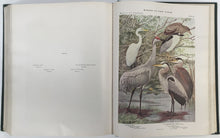Load image into Gallery viewer, Eaton, Elon Howard  &quot;Memoir 12. Second Edition. Birds of New York.  Part 1&quot;
