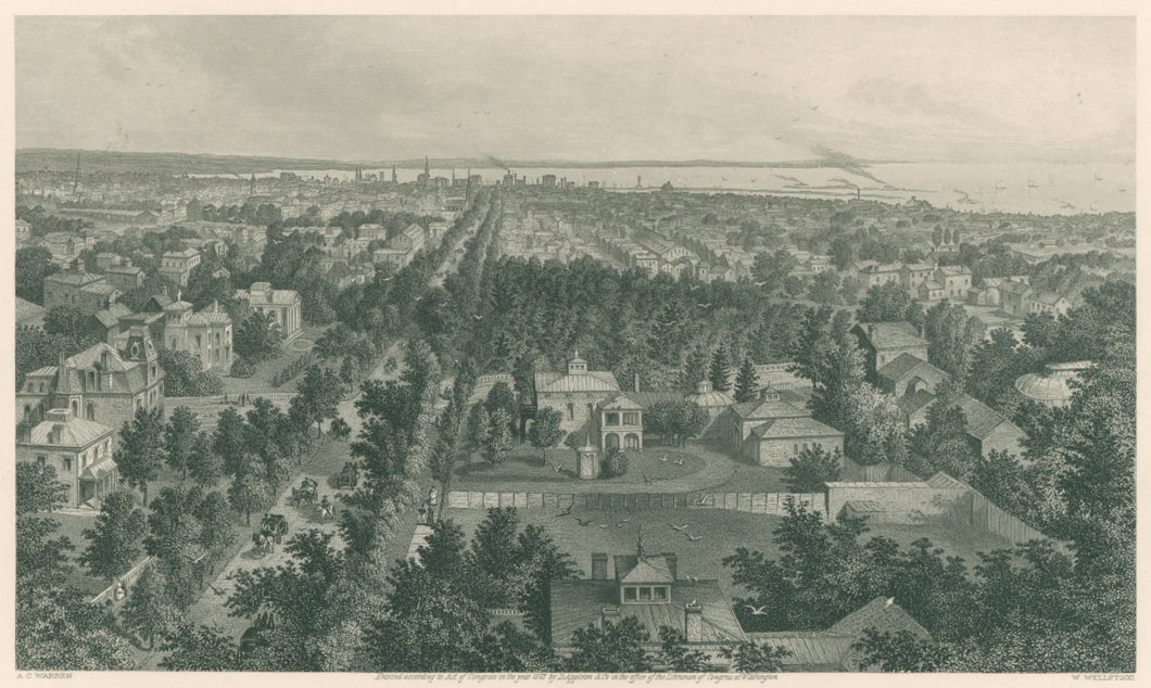 Warren, A.C.  “City of Buffalo.”  From Picturesque America