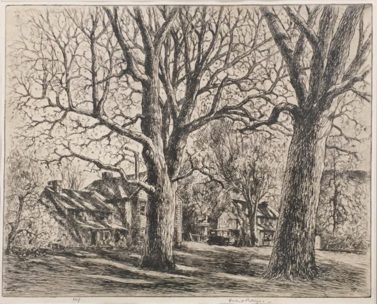 Pullinger, Herbert  “Walnut Trees
