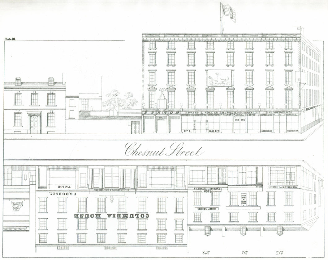 Rae, Julio H. Plate 10.  [South side of Chestnut Street, at top, from the middle of the 600 block to the corner of Seventh Street]