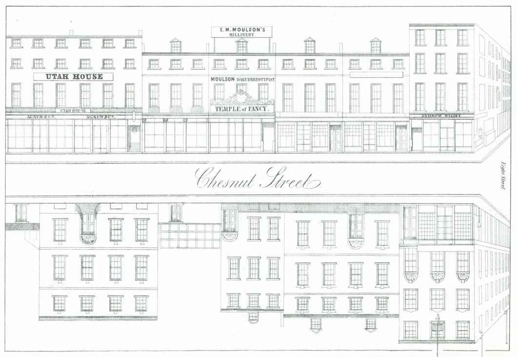 Rae, Julio H. Plate 12.  [South side of Chestnut Street, at top, from the middle of the 700 block to the corner of Eighth Street]