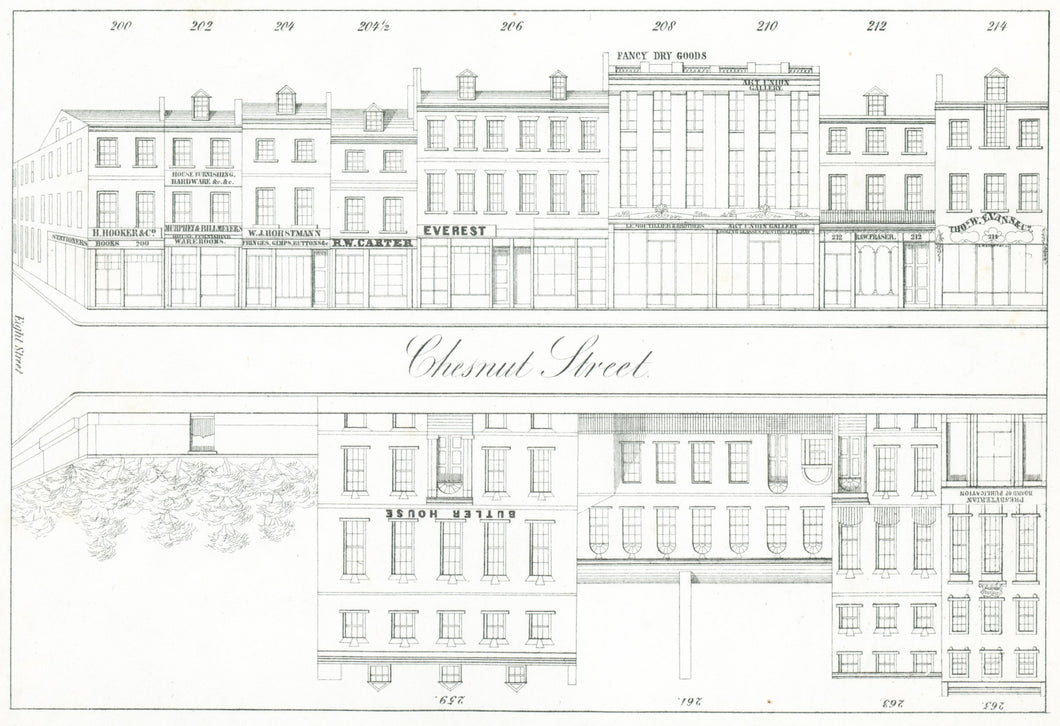 Rae, Julio H. Plate 13.  [South side of Chestnut Street, at top, from the corner of Eighth Street to the middle of the block]