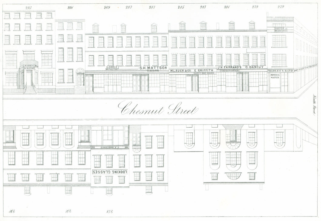 Rae, Julio H. Plate 15.  [North side of Chestnut Street, at top, from the corner of Ninth Street to the middle of  the block]