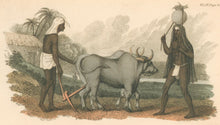 Load image into Gallery viewer, Shoberl, Frederic.  &quot;Hindoo Ploughman &amp; Herdsman.&quot;
