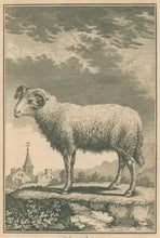 Load image into Gallery viewer, Unattributed “The Ram.”  From &quot;Universal Magazine&quot;
