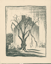 Load image into Gallery viewer, White, Theo Ballou [House with Dead Tree, Virginia]
